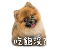 843138047