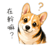 843138114