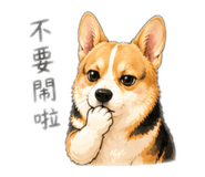 843138125