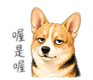 843138134