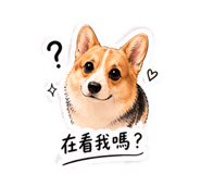 843138144