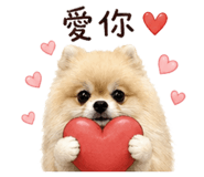 843138541