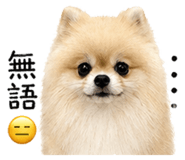 843138545