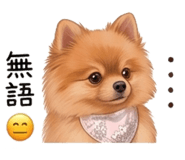 843138546