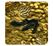 843138874