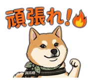 843138897