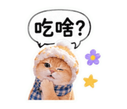 843138950
