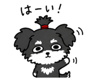 843139081