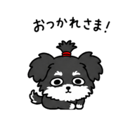 843139085