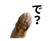 843139597
