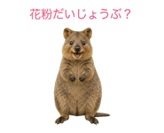 843139970