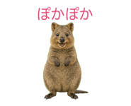 843139971