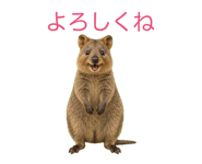 843139979