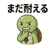 843140081