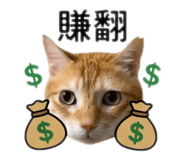 843140397