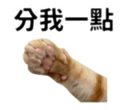 843140414