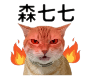 843140415