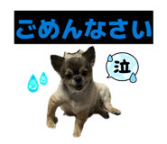 843140462