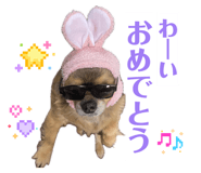 843140464