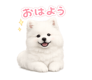 843140521