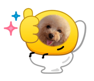 843140634
