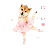 843140897