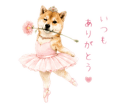 843140904