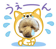843140919