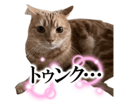 843141333