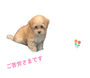 843142375
