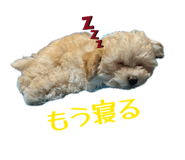 843142376