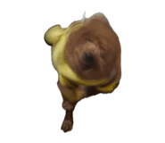 843142396