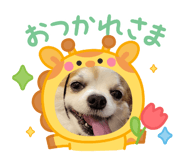 843142419