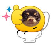 843142432