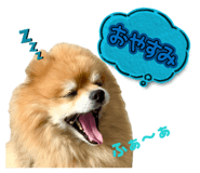 843142466