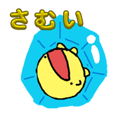 843142564