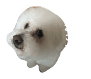 843143039