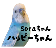 843143048