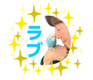 843143050