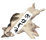 843143317