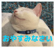 843143340