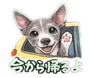 843143350