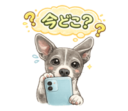 843143351