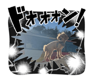 843143357