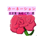 843143425
