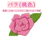 843143426