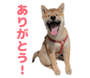 843143519