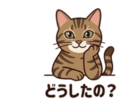 843143581