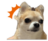 843143624