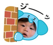 843143900